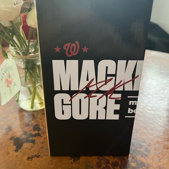 Washington Nationals Mackenzie Gore “Mystery Jersey” Bobblehead - Picture 2 of 4